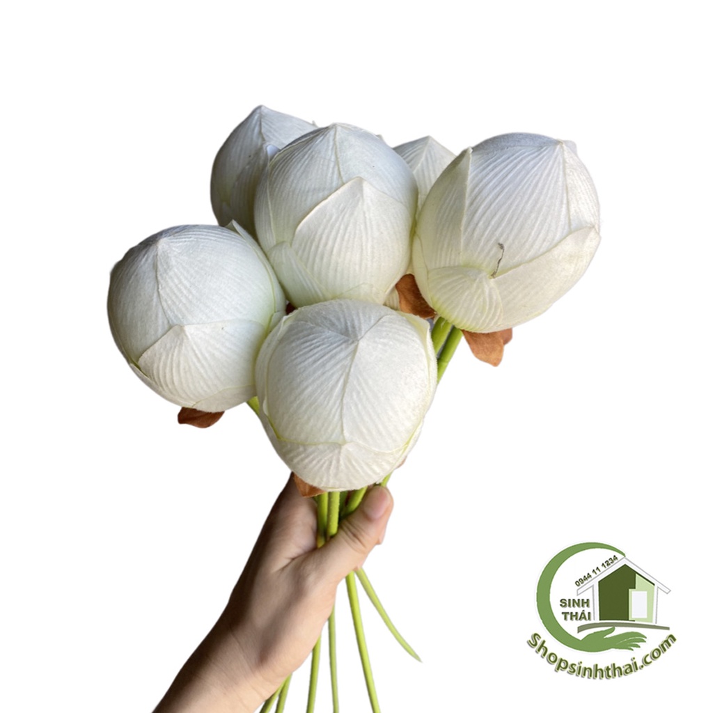Cành nụ hoa sen giả màu trắng - cành sen vải lụa cao cấp