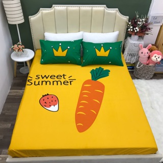 Set ga gối cotton 100%