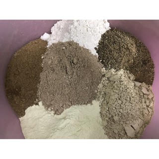 Thính Câu Cá Chép Siêu Tốc Độ