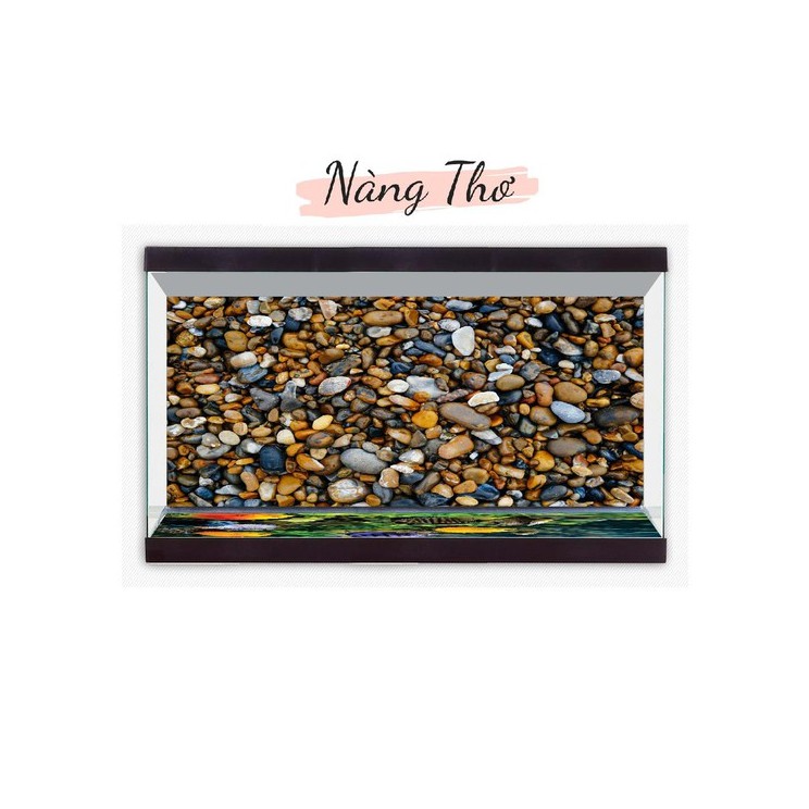 TRANH DECAL 3D DÁN MẶT ĐÁY HỒ CÁ_NÀNG THƠ