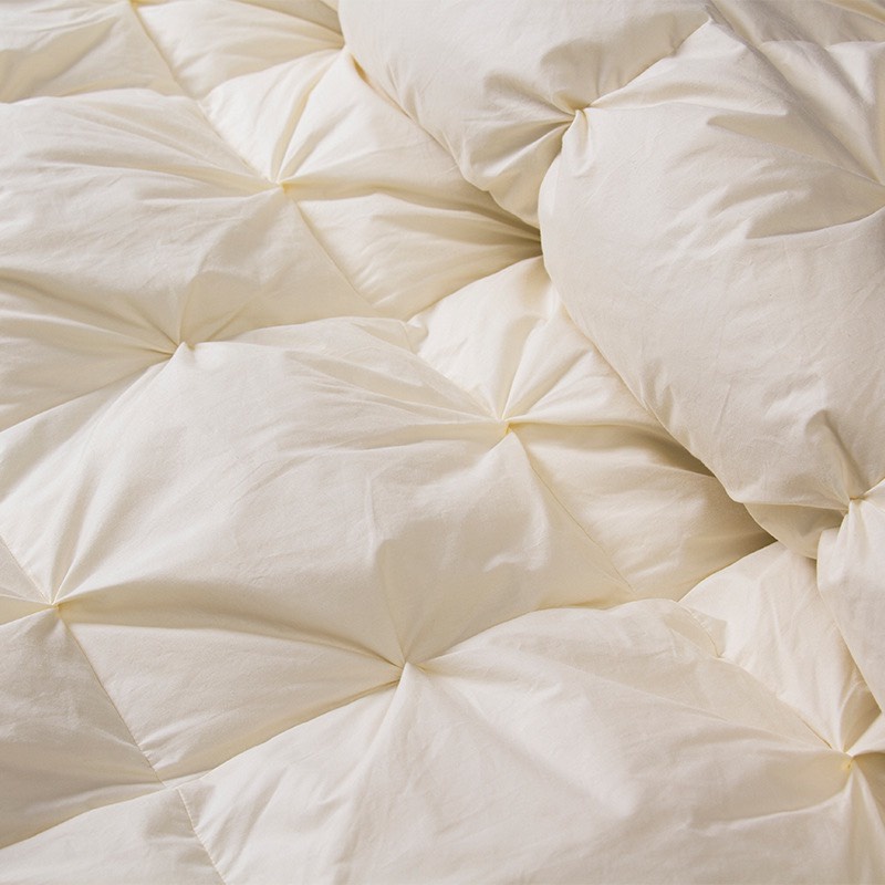 Ruột chăn lông vũ 95% từ sợi lông vũ tự nhiên 200*230cm hàng nhập