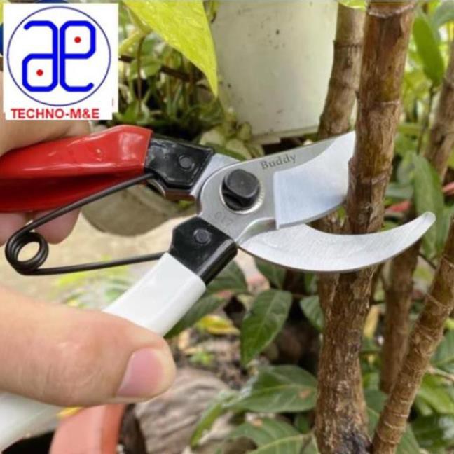 Kéo cắt cành Buddy BD017 dài 200mm Đài Loan