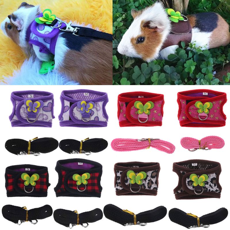 Bộ dây yếm dắt thú cưng đi dạo có thể điều chỉnh cho hamster chuột lang nhà chinchilla