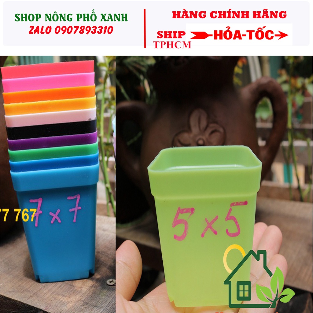 10 chậu nhựa 5X5cm PP vuông mini trồng sen đá bonsai xương rồng có 7 màu