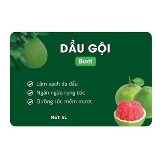 Can gội 5 lít
