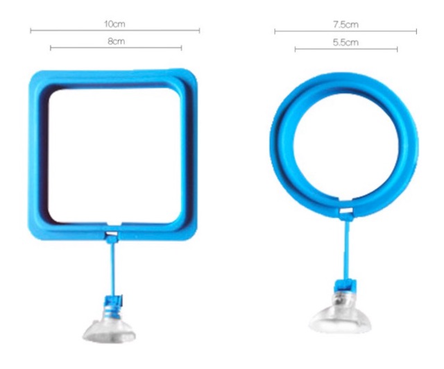 Vòng Giữ Thức Ăn Cho Cá Cảnh - Vòng Cho Cá Ăn 4.9 805 Đánh Giá 2,5k Đã Bán