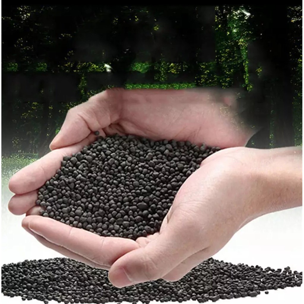 Combo 1000gram phân nền thủy sinh và hạt giống cỏ thủy sinh
