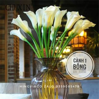 👉 Hoa Rum Cao Su Trang Trí - HOA GIẢ