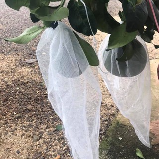 BỌC BƯỞI TÚI VẢI KHÔNG DỆT CÓ DÂY RÚT SÉT 50TÚI 30*35CM