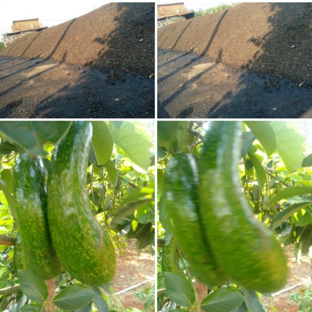 Đặc sản Tây nguyên 81