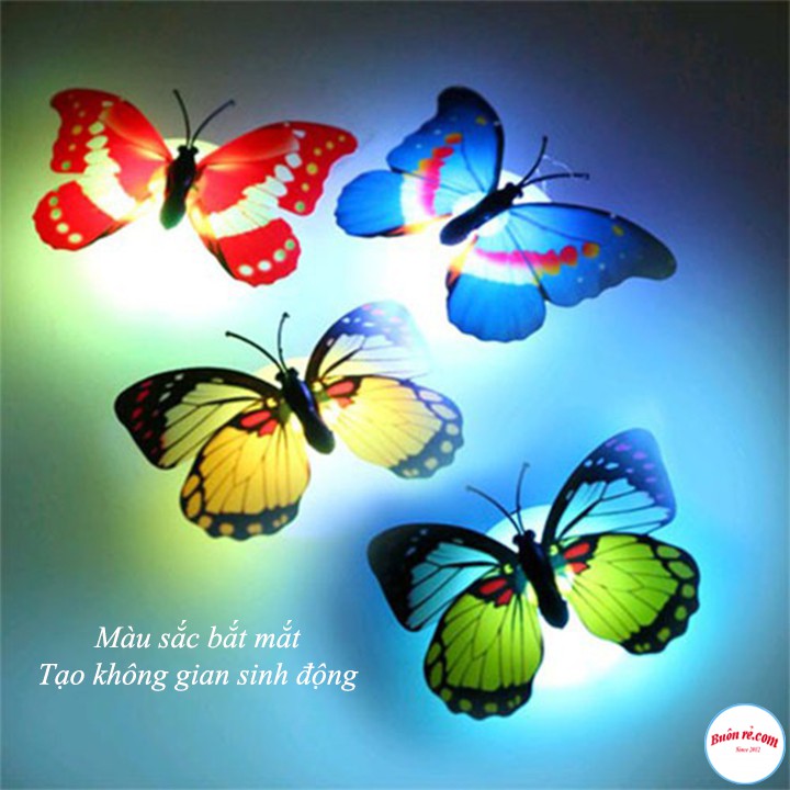 Mô Hình Bươm Bướm Tích Hợp Đèn LED Trang Trí Không Gian Độc Đáo Hot hit - br00597