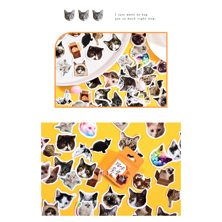 Set 46 miếng dán hình động vật đáng yêu trang trí sổ lưu niệm