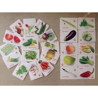 Bộ thẻ Flash Cards 410 thẻ với 16 chủ đề