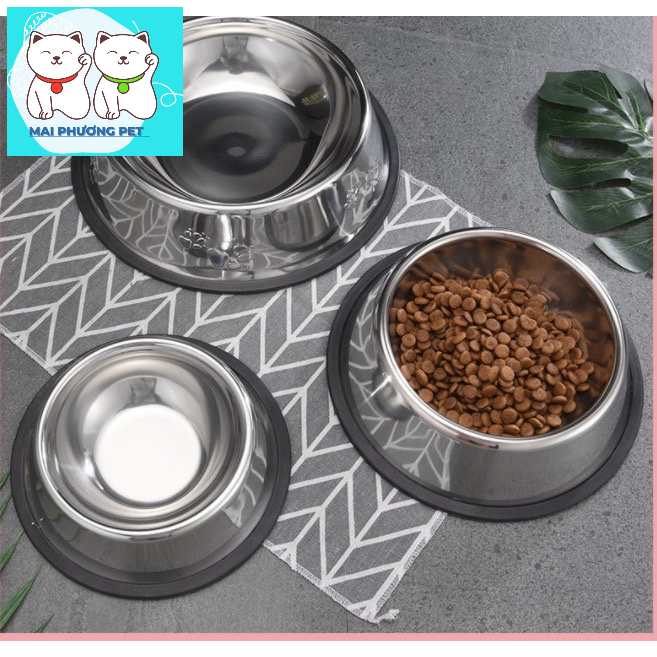 Bát Inox không màu cho thú cưng có đế chống lật