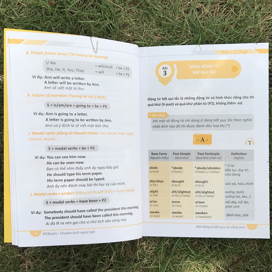 Sách - 600 Động Từ Bất Quy Tắc Trong Tiếng Anh | BigBuy360 - bigbuy360.vn