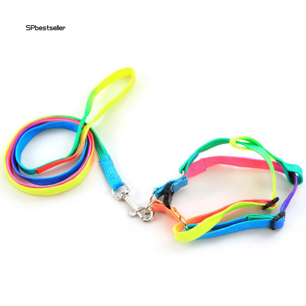 Dây đeo cổ nhiều màu sắc kèm dây dắt cho chó cưng