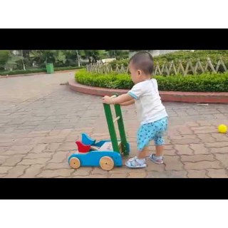 Xe tập đi 3 con chim