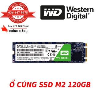 Ổ cứng SSD 120GB WD Green M2 Minh Thông-Bảo hành 3 năm