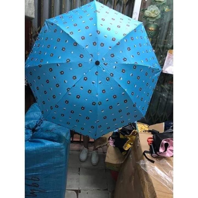 Ô GẤU PHONG CÁCH HÀN QUỐC, cực xinh xắn