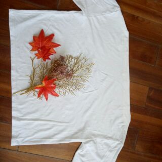 combo cho anh trần