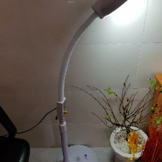 Đèn Lúp Led Soi Da SPA