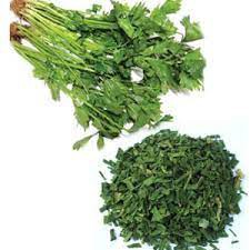 Lá ngò rí sấy khô hũ dùng tiện lợi-Cilantro leaves