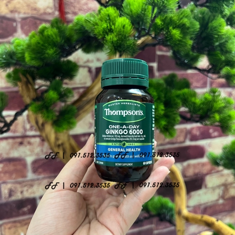 Viên uống bổ não Ginkgo Biloba 6000mg Thompson 60 viên- Hoạt huyết dưỡng não, giảm đầu đầu, mất ngủ