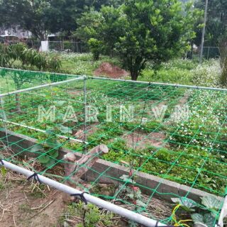 Lưới giàn cây leo nhiều kích thước