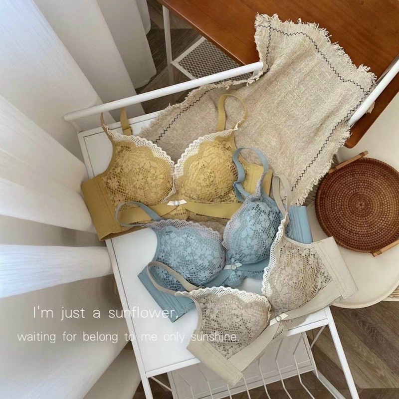 Bộ đồ lót ren tiểu thư mềm mại không gọng mút vừa - 690 | BigBuy360 - bigbuy360.vn