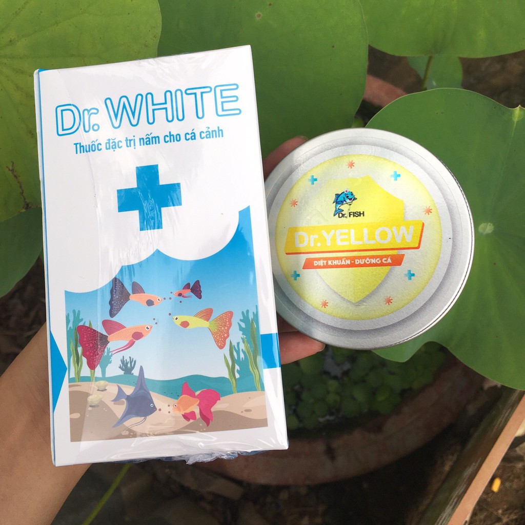 Dr.Fish - Bộ Chế Phẩm Điều Trị Các Loại Nấm, Lở Loét Trên Cá Cảnh (Betta, Guppy, ...)
