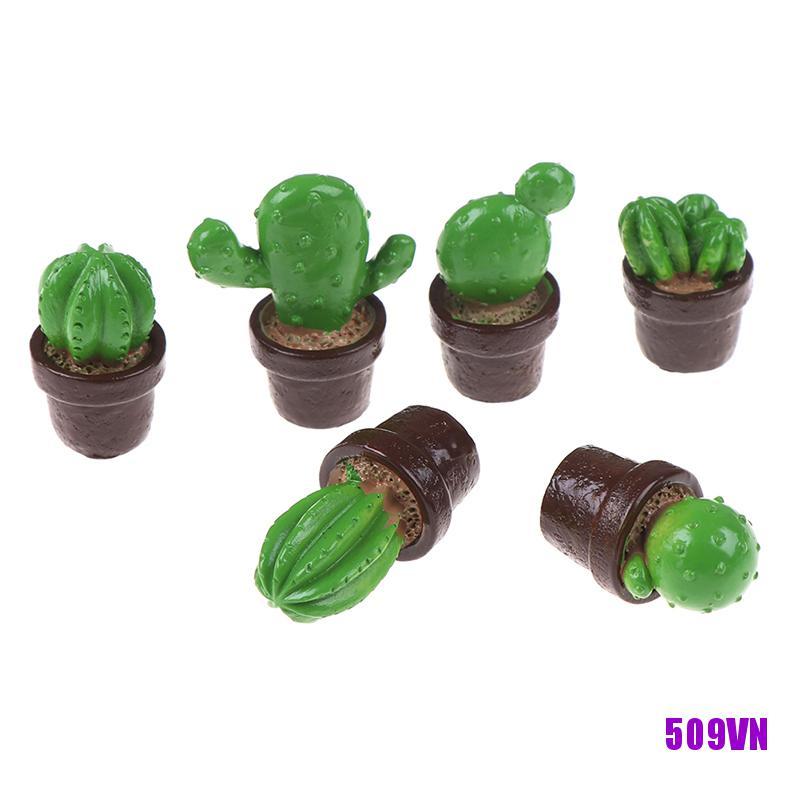 Set 5 Cây Xương Rồng Mini Bằng Nhựa Dùng Để Trang Trí Nhà Búp Bê