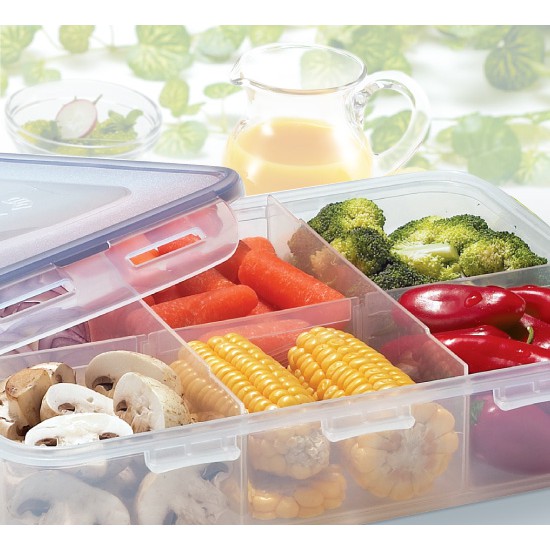 Hộp nhựa đựng thực phẩm, hộp đựng thức ăn Lock and Lock chia ngăn HPL832C 2.7L