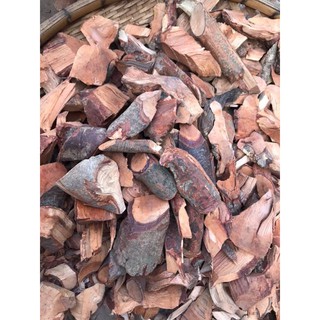Rể cây mú từn - 100% rể cao cấp