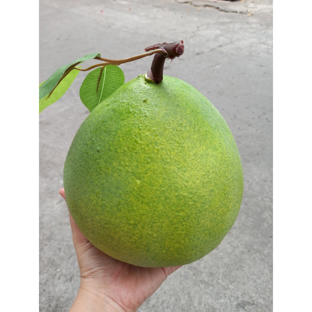 1 Quả bưởi giả giống như thật - trái cây giả - Hương Flower