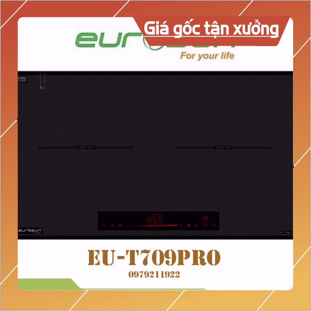Bếp từ Eurosun EU-T709pro