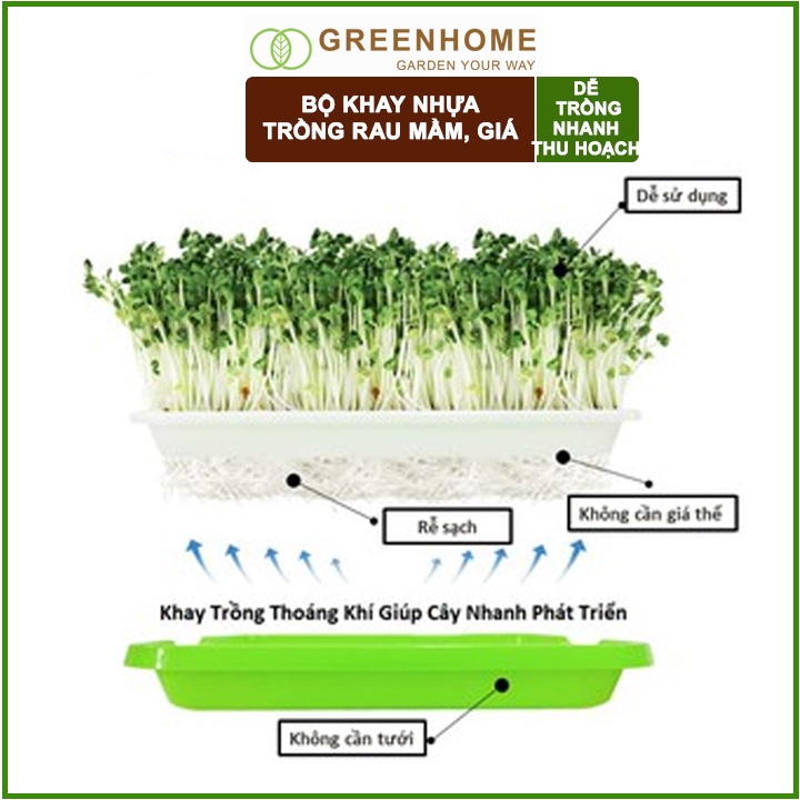 3 Bộ khay trồng giá, D34xR25xC5cm, màu tím, nhựa nguyên sinh, an toàn, dễ trồng tại nhà |Greenhome