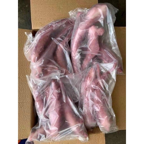 Râu bạch tuộc khổng lồ