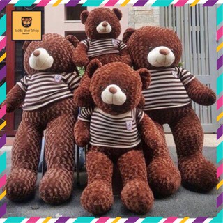 Gấu bông teddy 0,95m-1m1-1m3 gấu bông to, gối ôm hình thú teddy nâu bự khổng lồ siêu đáng yêu