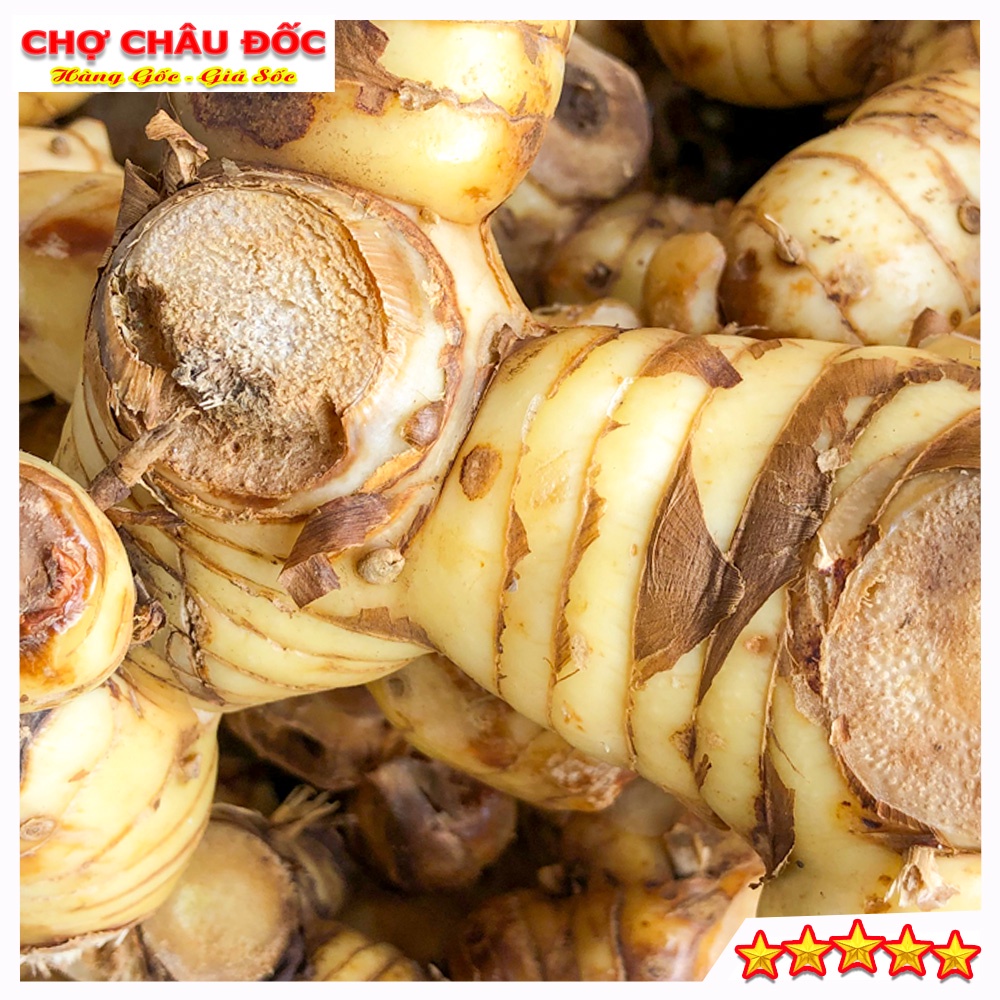 500gr Củ Riềng Tươi Vùng Thất Sơn Dùng Làm Gia Vị Và Dược Liệu