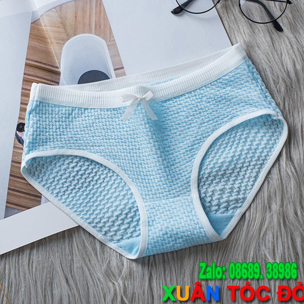 [Mã WASTDEP giảm 5K đơn bất kì] SỈ ZALO RẺ HƠN NHIỀU_ Quần Lót 10 Màu Nơ Thông Hơi Mới Mềm Mịn Đẹp H012 | BigBuy360 - bigbuy360.vn