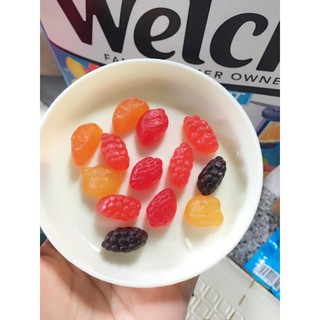 Kẹo Dẻo Trái Cây Welch’s – USA