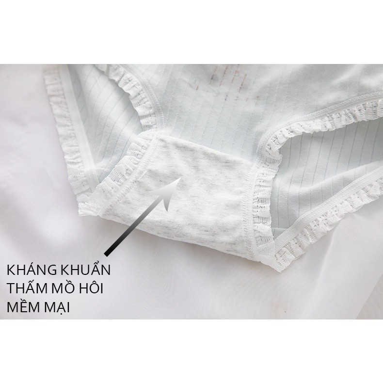 Quần lót nữ cotton họa tiết gấu cute 301