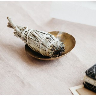 Noscere | Cây xô thơm trắng White Sage