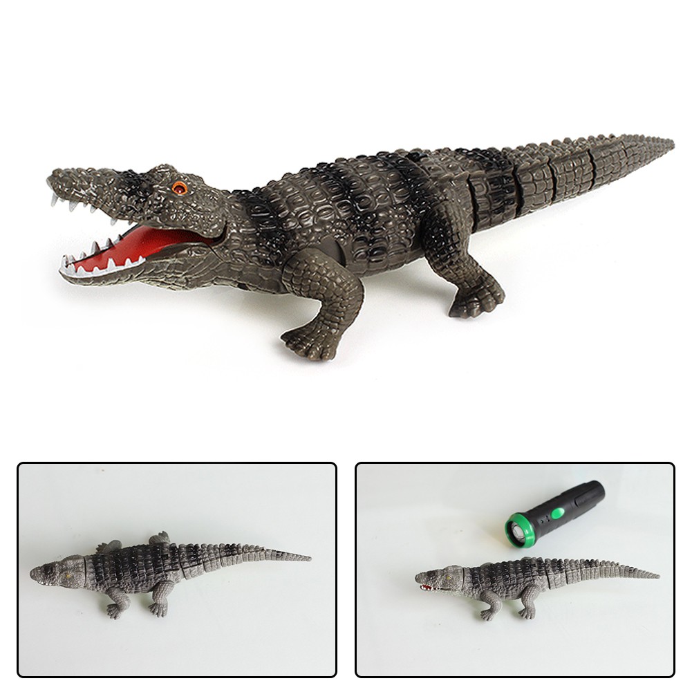 Đồ chơi cá sấu giả điều khiển từ xa vui nhộn