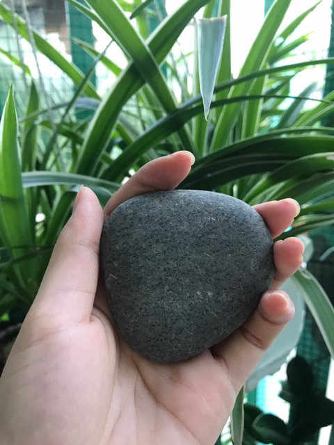 ĐÁ KỲ TẾ BÀO CHẾT TỰ NHIÊN | BigBuy360 - bigbuy360.vn