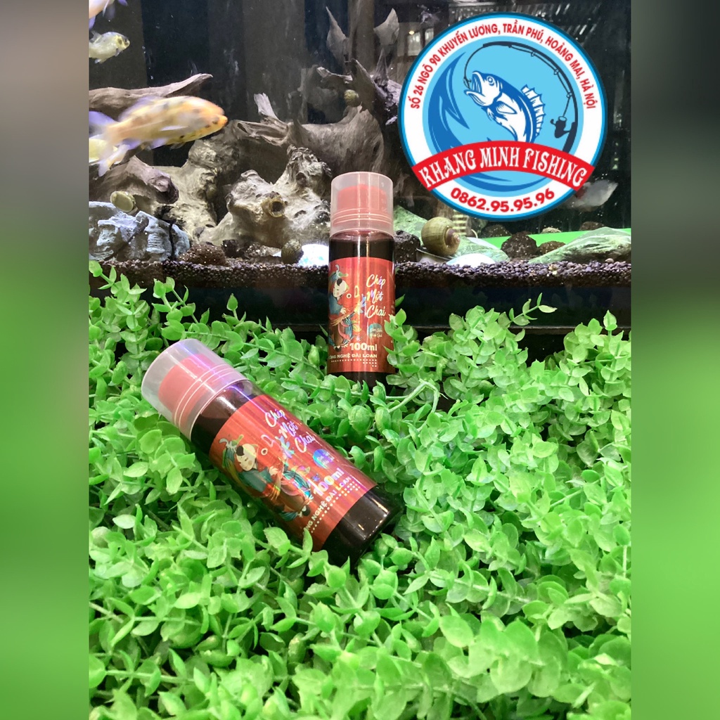 CHÉP 1 CHAI SA PHẠM chuyên câu cá chép cực nhạy