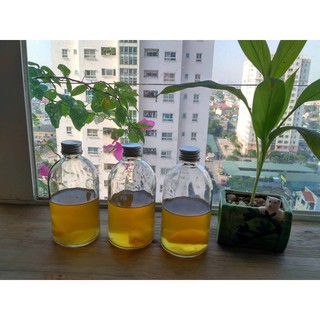 Trà Kombucha