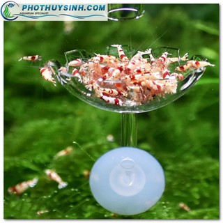 Chén, đĩa thức ăn cho cá, tép