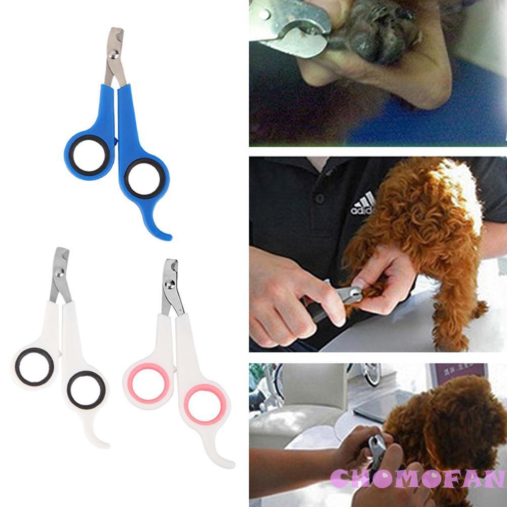 Dụng cụ cắt móng cho thú cưng