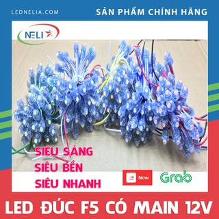 F5 12V có main đổ keo chống nước,làm biển quảng cáo,trang trí đường phố.(dây 50 bóng)